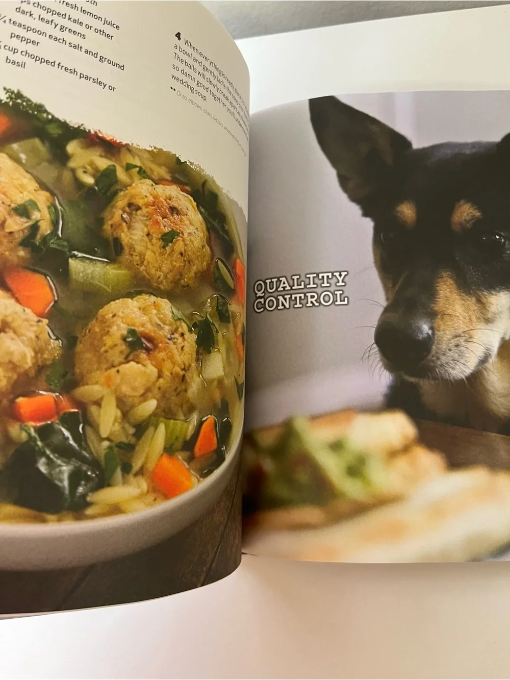 Thug Kitchen: The Official Cookbook Hardcover Book